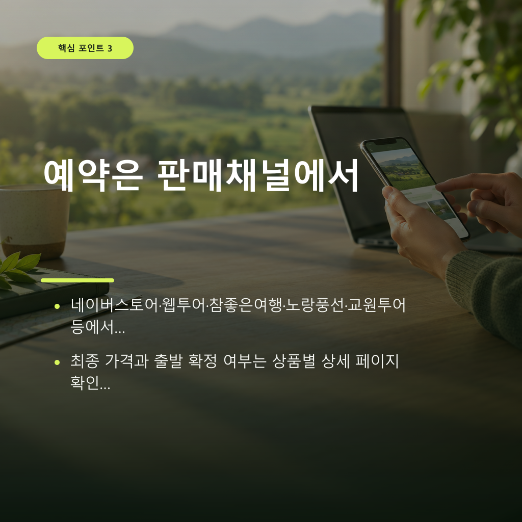 가격과 출발일: 10만 원대 초반, 주 2회 운행 계획